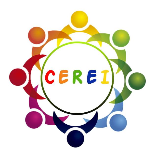 Depoimento da Ex Presidente e Fundadora do Cerei - Domingas Coelho Rocha